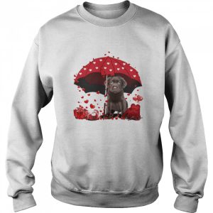 Loving Red Umbrella Chocolate Labrador Christmas Sweater Shirt 4