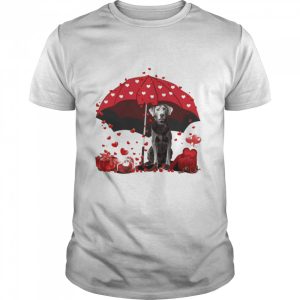 Loving Red Umbrella Silver Labrador Christmas Sweater Shirt 1