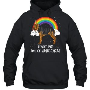 Rainbow Welsh Terrier Trust Me Im A Unicorn Dog shirt 5