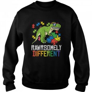 Rawrsomely Different Trex Puzzle Boys Autism Awareness Boys shirt 4