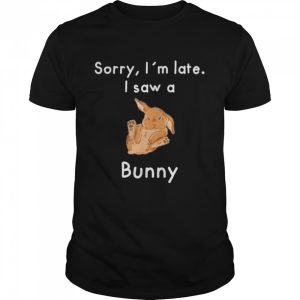 Sorry Im late I saw a Bunny shirt 1