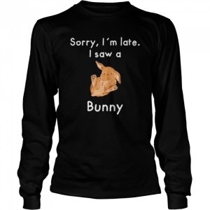 Sorry Im late I saw a Bunny shirt 3