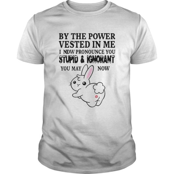 The Power Vested In Me I Now Pronounce You Stupid And Ignorant shirt