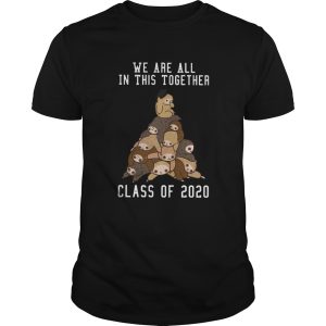 We Are All In This Together Class Of 2020 shirt