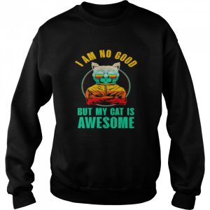 cat I am no good but my cat is awesome shirt 4