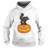 Black Cat On Pumpkin Funny Cat Lover TShirt
