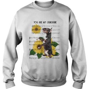 Bull Terrier You Are My Sunshine shirt 2