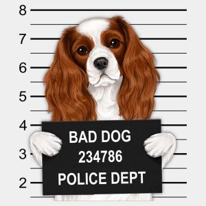 Cavalier Charles King Spaniel mugshot T shirt 2