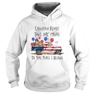 Country roads take me home to the place I belong dogs truck american flag independence day shirt 1