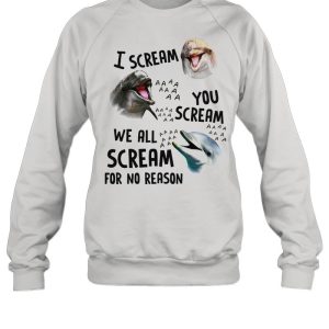 Dolphin I scream you scream we all scream for no reason shirt 2