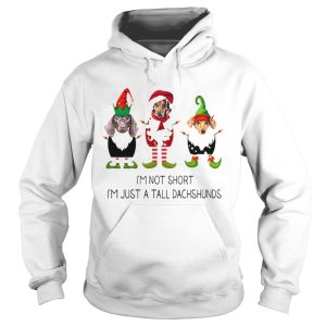 Elf im not short im just a tall dachshunds Christmas shirt 1