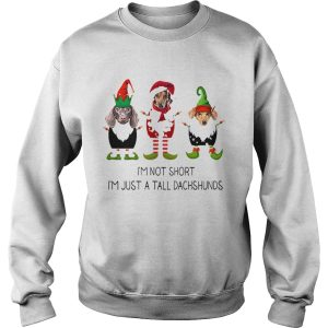 Elf im not short im just a tall dachshunds Christmas shirt 3