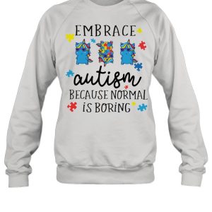 Embrace Autism Because Normal Is Boring Unicorn shirt 2