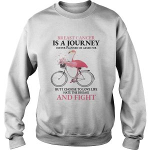 Flamingo breast cancer is a journey I never planned or asked for t shirt 3