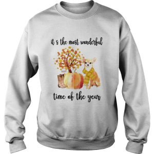 Halloween Chihuahua Its The Most Wonderful Time Of The Year Shirt 3