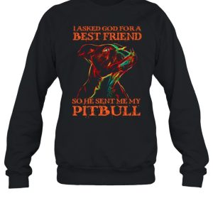 I Asked God For A Best Friend So He Sent Me My Pitbull shirt 2