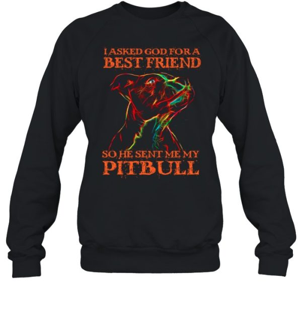 I Asked God For A Best Friend So He Sent Me My Pitbull shirt