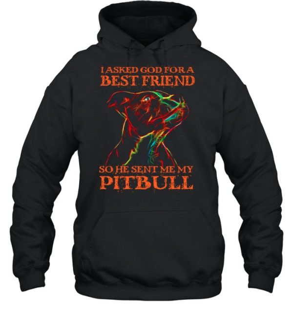 I Asked God For A Best Friend So He Sent Me My Pitbull shirt