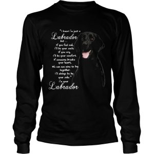 I Know Im Just A Labrador But If You Feel Sad Ill Be Your Smile shirt