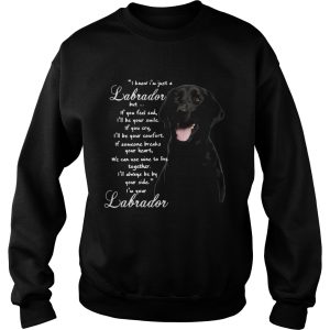 I Know Im Just A Labrador But If You Feel Sad Ill Be Your Smile shirt 2