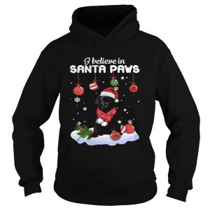 I believe in Santa Paws Christmas shirt 1