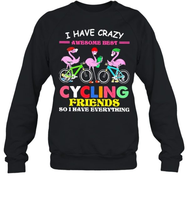 I have crazy awesome best cycling friends so I have everything t-shirt