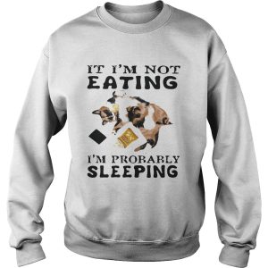 It Im Not Eating Im Probably Sleeping Cat shirt 2