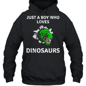 Just A Boy Who Loves Dinosaurs Trex Dino Design T Rex shirt 3