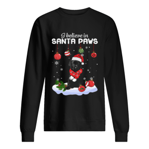 Labrador I believe in Santa Paws Christmas shirt 2