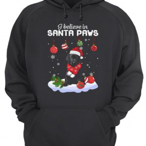 Labrador I believe in Santa Paws Christmas shirt 3