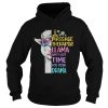 Massage therapist llama aint got time classic colors llama quote shirt