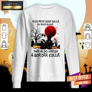 An Old Witch Cannot Survive On Wine Alone She Also Needs A Border Collie Moon Halloween Shirt 2