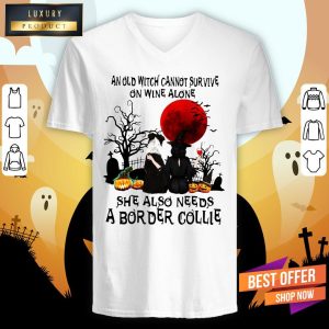 An Old Witch Cannot Survive On Wine Alone She Also Needs A Border Collie Moon Halloween Shirt 4