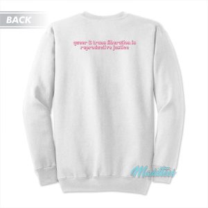 Be Gay Fund Abortion Queer And Trans Sweatshirt