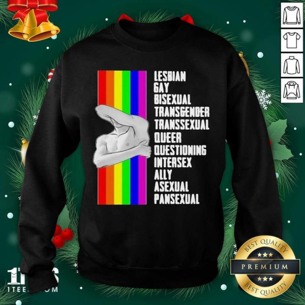 Cool Lesbian Gay Bisexual Transgender Transsexual Queer Questioning Intersex Ally Asexual Pansexual LGBT Shirt