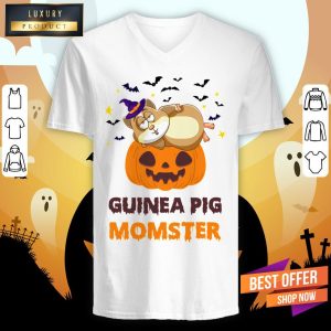 Guinea Pig Momster Pumpkin Monster Funny Halloween Shirt 3