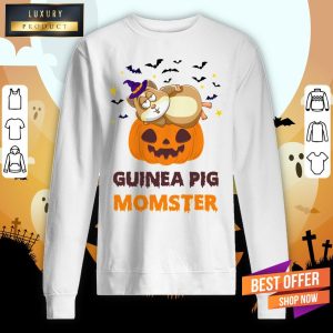 Guinea Pig Momster Pumpkin Monster Funny Halloween Shirt 5