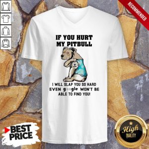 If You Hurt My Pitbull I Will Slap You So Hard Even Google Wont Be Able To Find You Heart Shirt 3