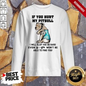 If You Hurt My Pitbull I Will Slap You So Hard Even Google Wont Be Able To Find You Heart Shirt 5