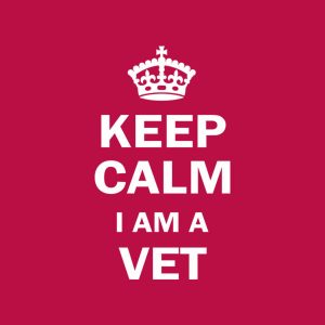 Keep calm I am a Vet – T-shirt