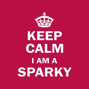 Keep calm. I am a sparky – T-shirt