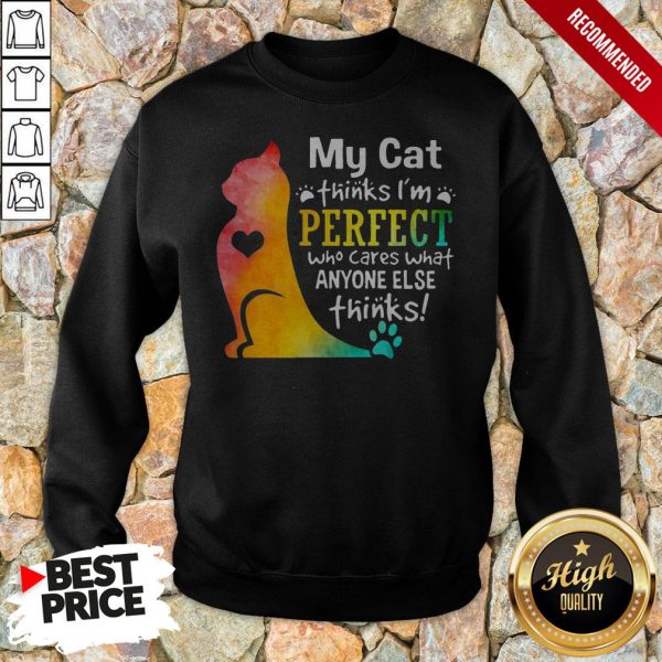 My Cat Thinks I’m Perfect Who Cares What Anyone Else Thinks Shirt