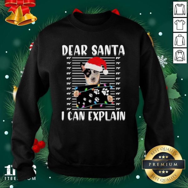 Nice Australian Cattle Dear Santa I Can Explain Christmas Sweater Shirt