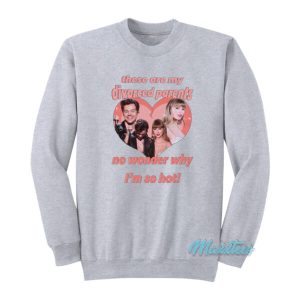 Haylor I Am A Child Of Divorce I’m So Hot Sweatshirt