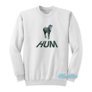 Hum Zebra Youd Prefer An Astronaut Sweatshirt 1