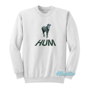 Hum Zebra Youd Prefer An Astronaut Sweatshirt 2