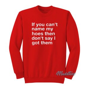 If You Cant Name My Hoes Sweatshirt 1