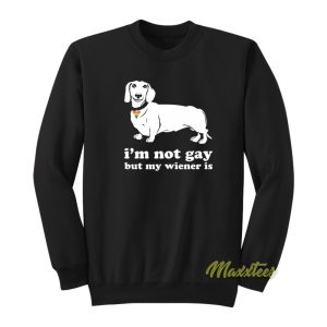 I’m Not Gay But My Wiener Is Sweatshirt