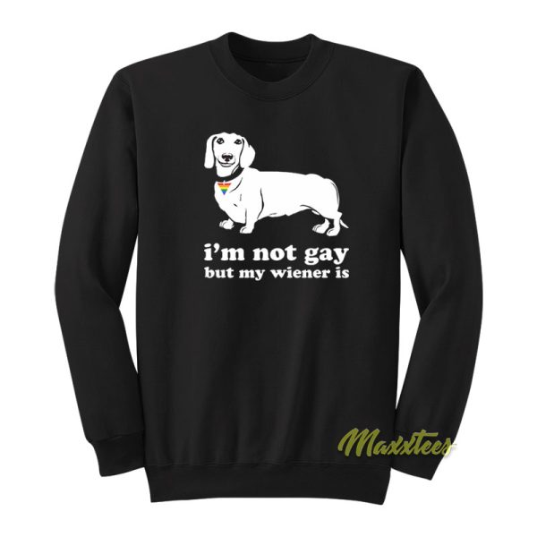 I’m Not Gay But My Wiener Is Sweatshirt