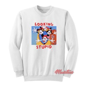 Looking Stupid Animaniacs Sweatshirt